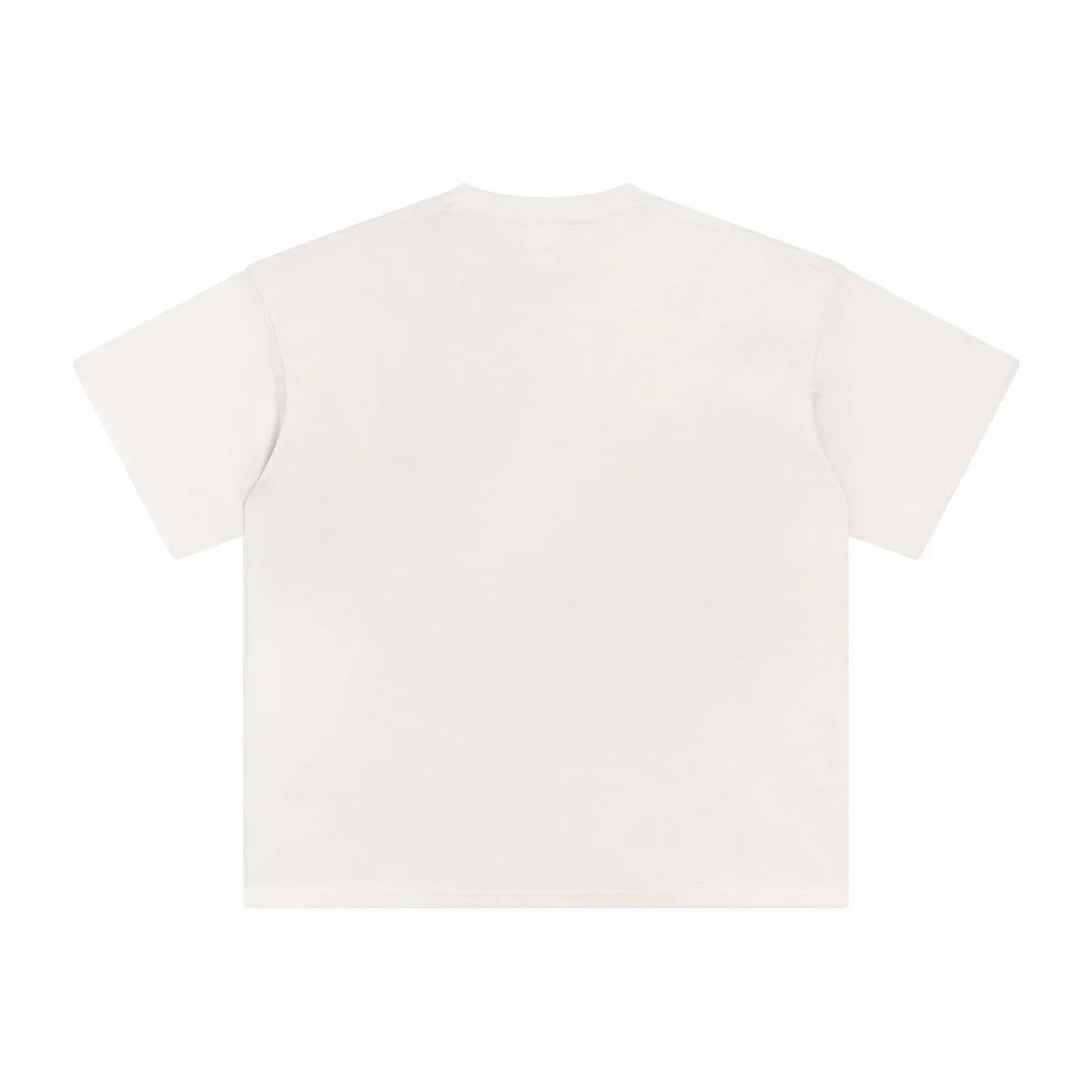 AVELURE EVERYDAY BOXY TEE