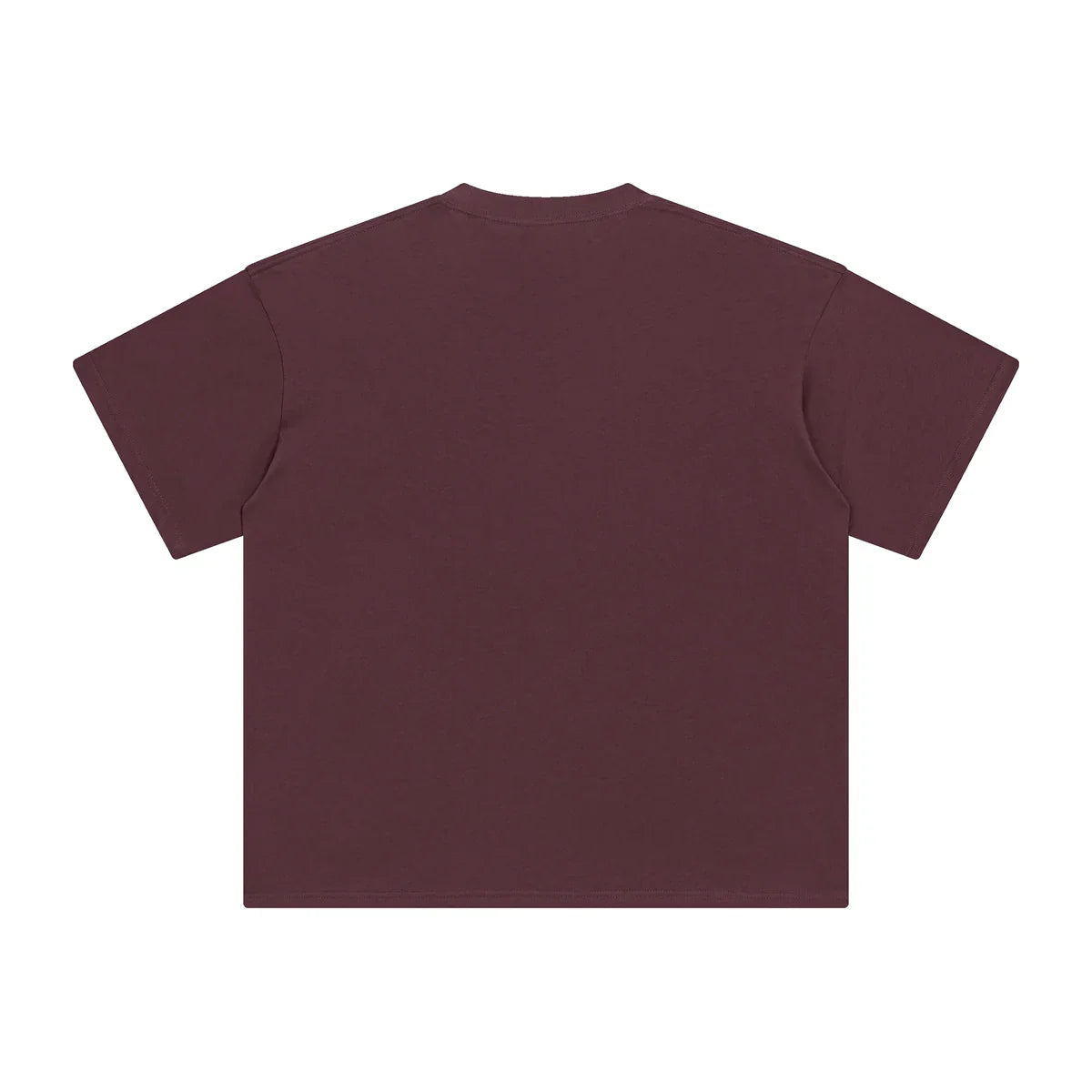 AVELURE EVERYDAY BOXY TEE